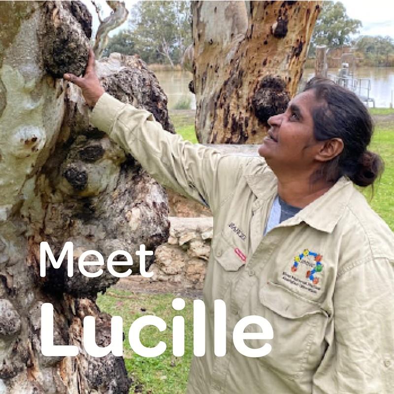 Mobo Story: Meet Lucille